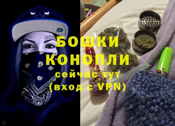 прущие грибы Каменногорск