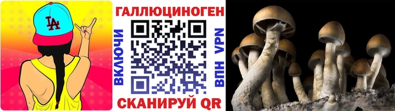 kraken ссылки  Козловка  Галлюциногенные грибы GOLDEN TEACHER 